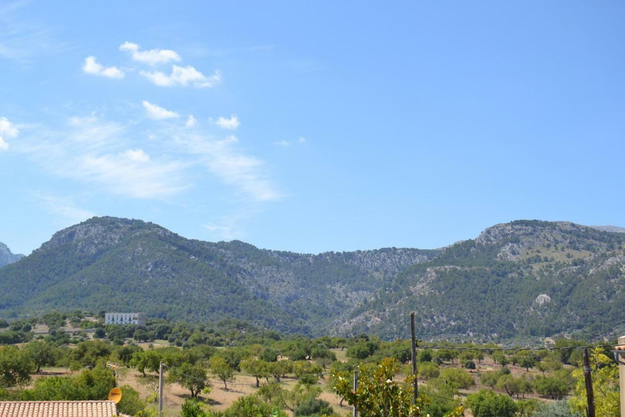 קמפנט Casa Lluna מראה חיצוני תמונה
